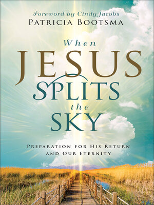 cover image of When Jesus Splits the Sky